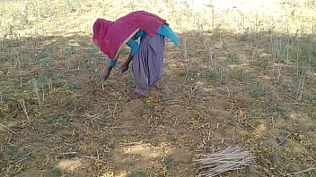 खेत में काम करती देसी लड़की को उसका इंडियन बॉयफ्रेंड ज़ोरदार चोदता है