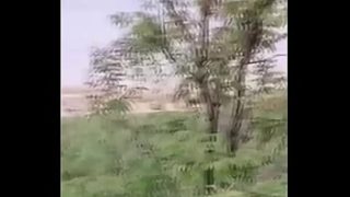 Jungle Trek Turns Wild As Asian Teen Gets Ravaged On The Trail