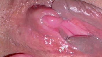 Freshly Deflowered Amateur: 237 Days Of Unleashed Pink Pussy Pleasure