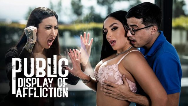 Public Affliction: Sheena Ryder And Ricky Spanish’s Forbidden Passion Unleashed