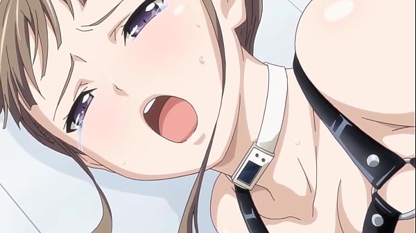 Hardcore Hentai Climax – Uncut Erotic Scenes