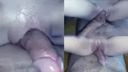 Smooth Pussy Rubbing Against Cock
